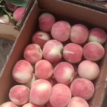 精品突围