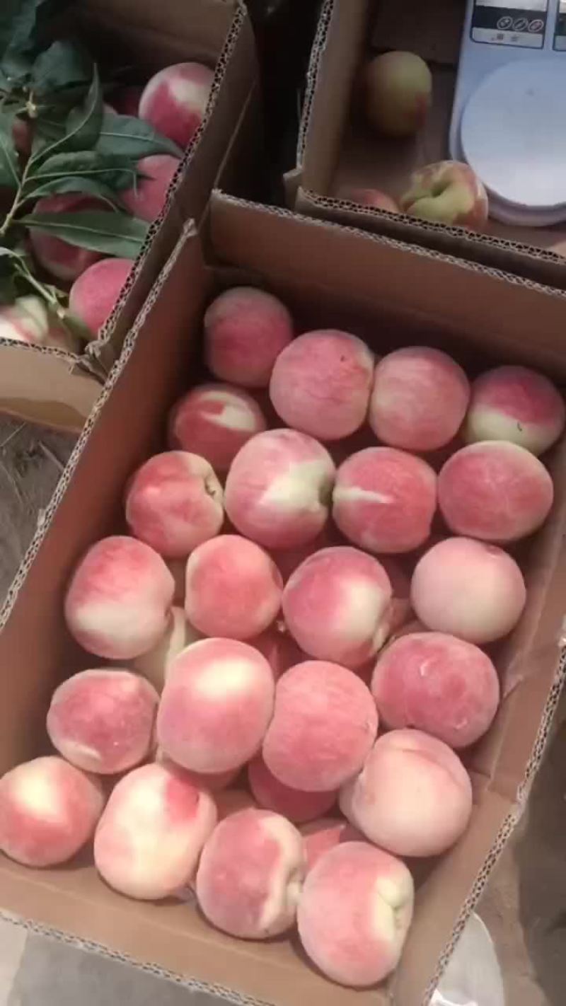 精品突围