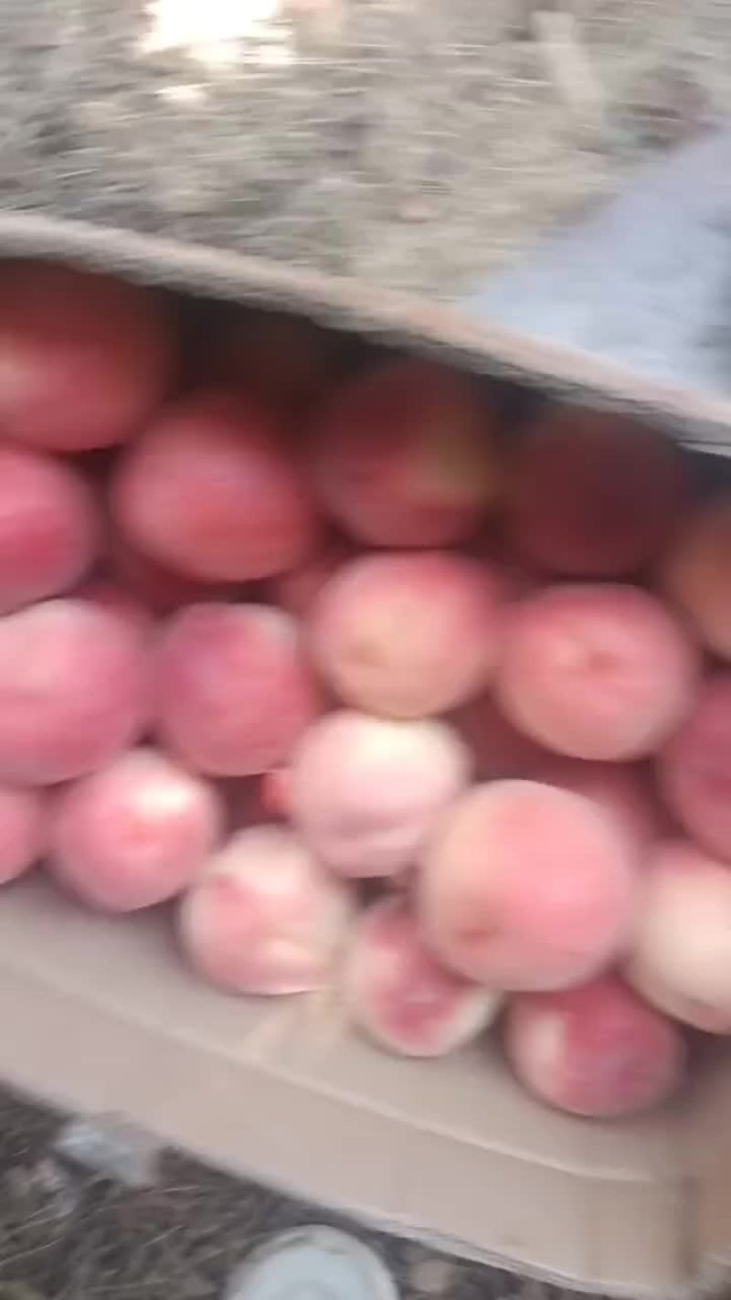 精品突围