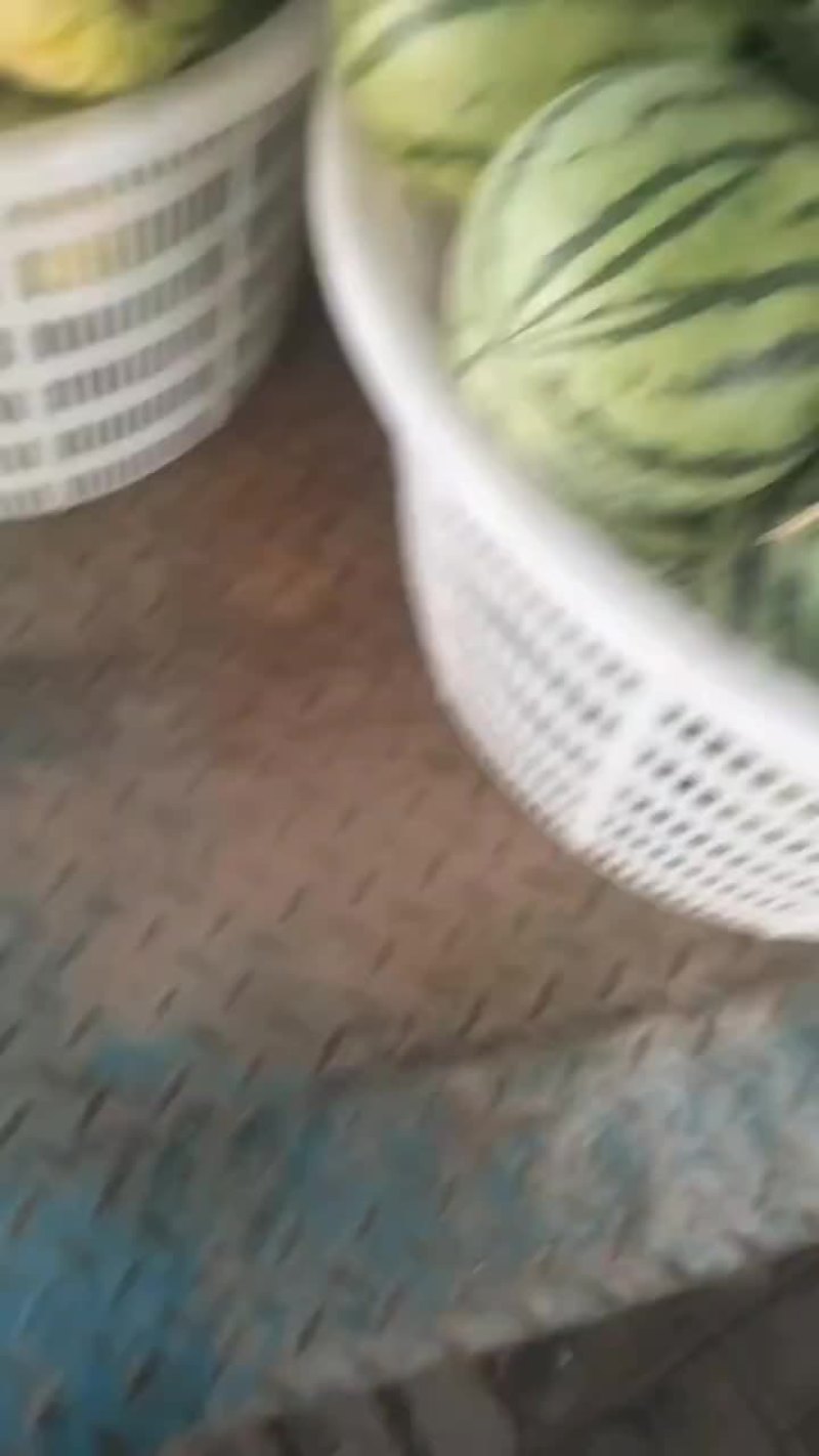 无籽麒麟