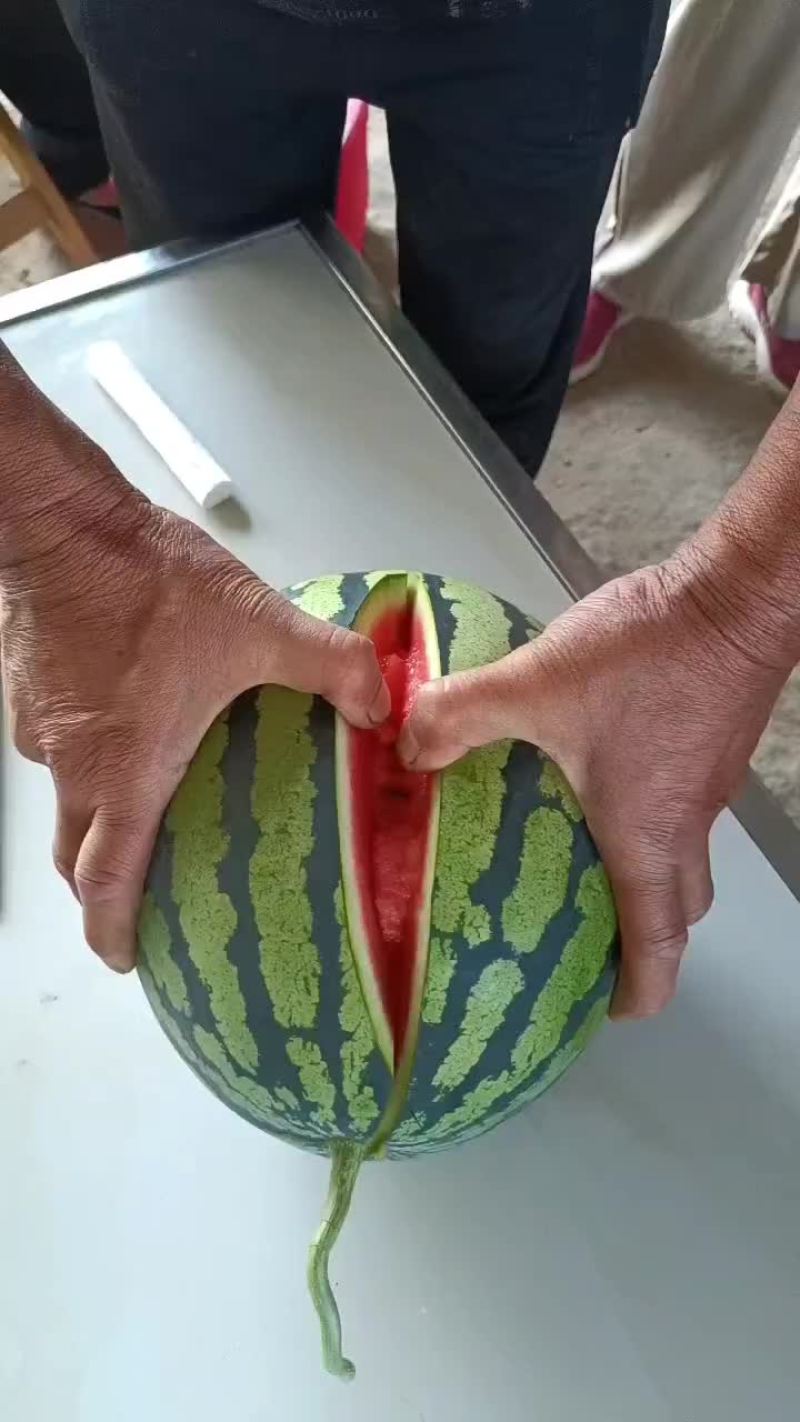 西瓜甜王锦王无干水糖含量l3双红嚷小溥皮