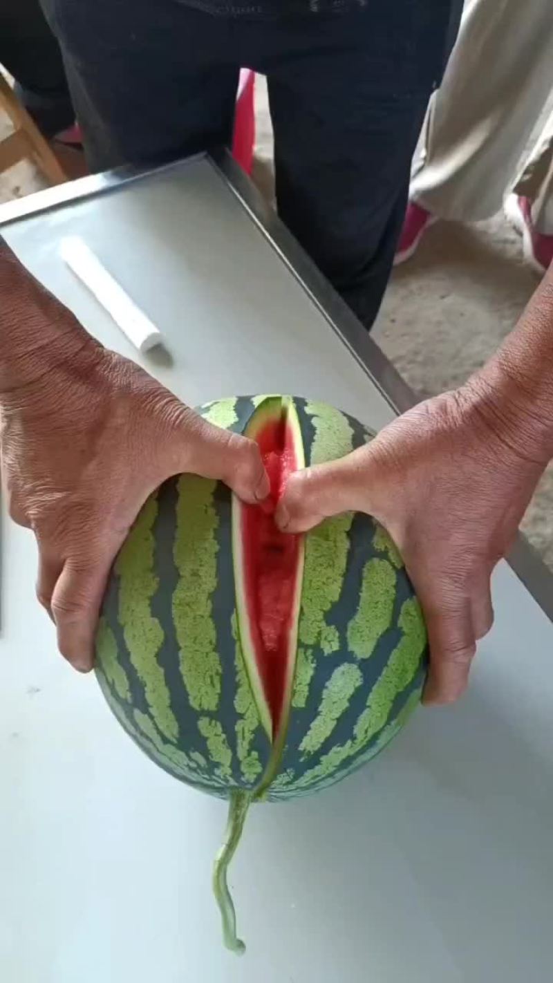 西瓜甜王锦王无干水糖含量l3双红嚷小溥皮
