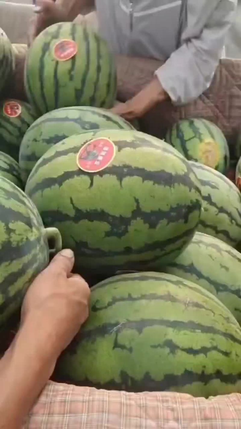 河北甜王