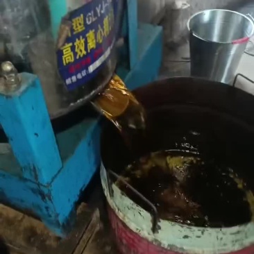 浓香菜籽油
