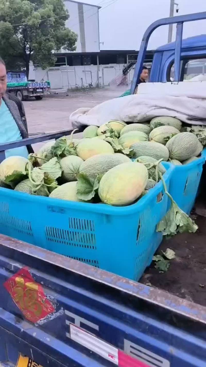 小蜜25大量上市