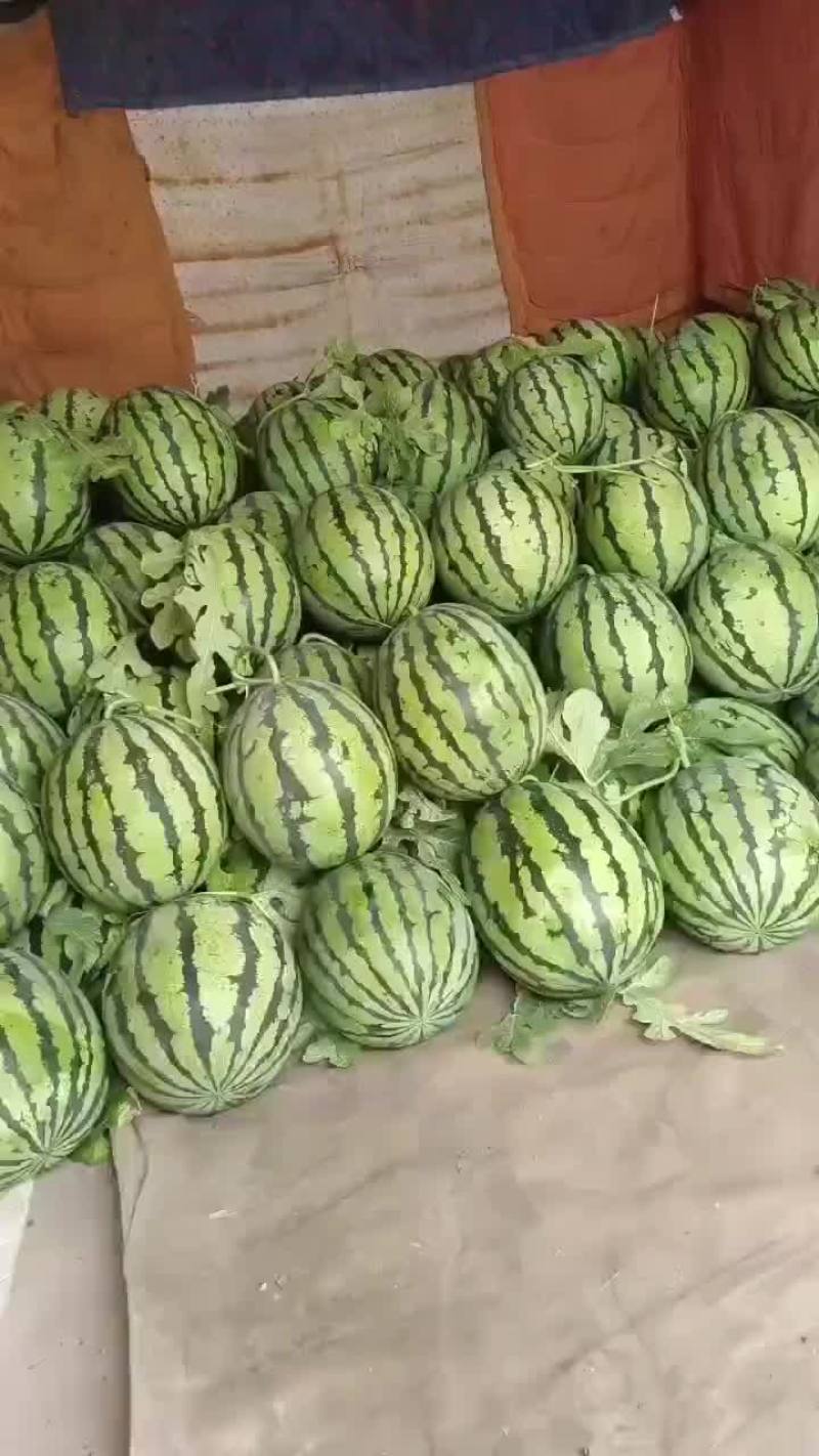 美都