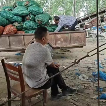 黄瓜