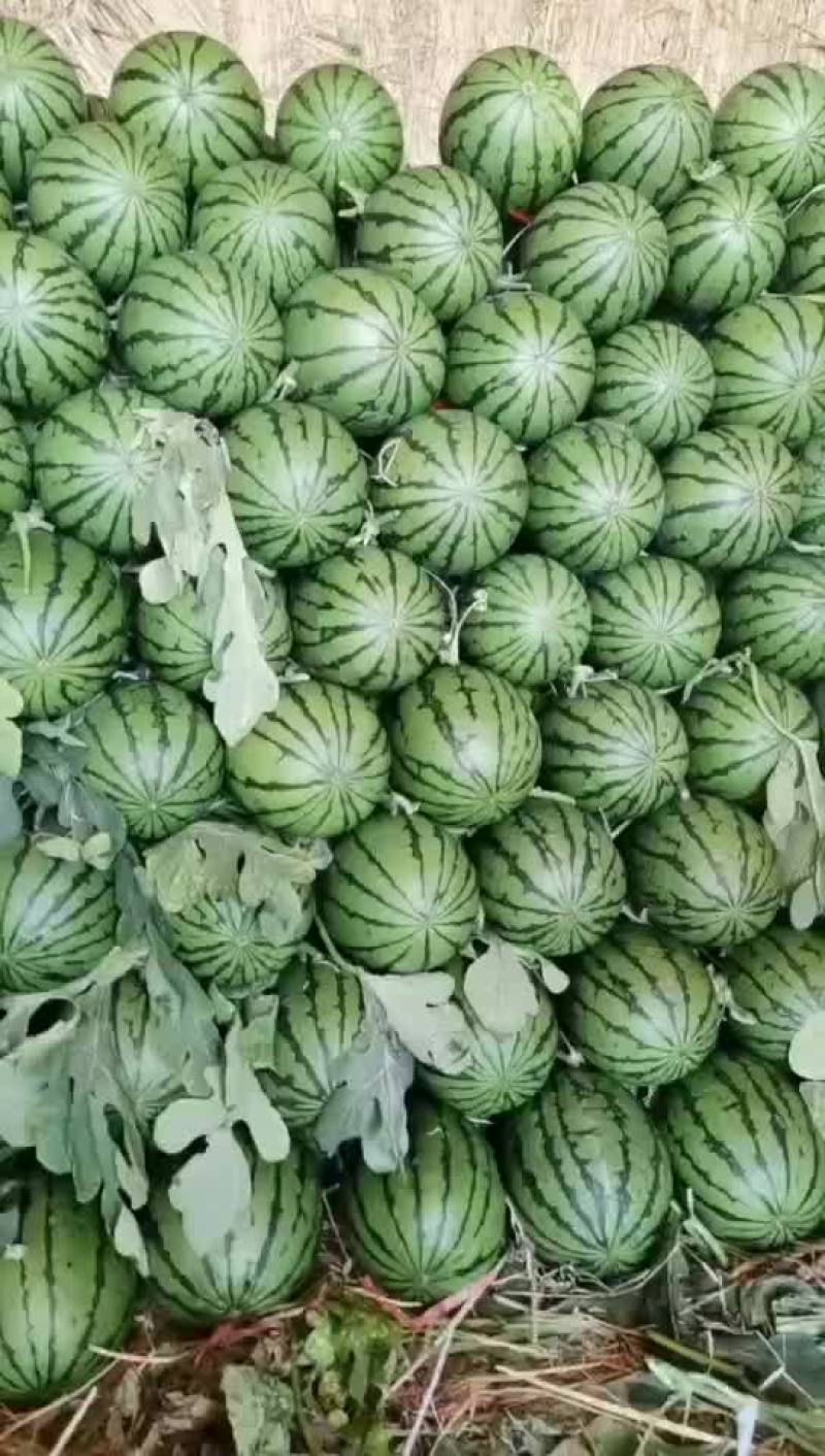 吊瓜