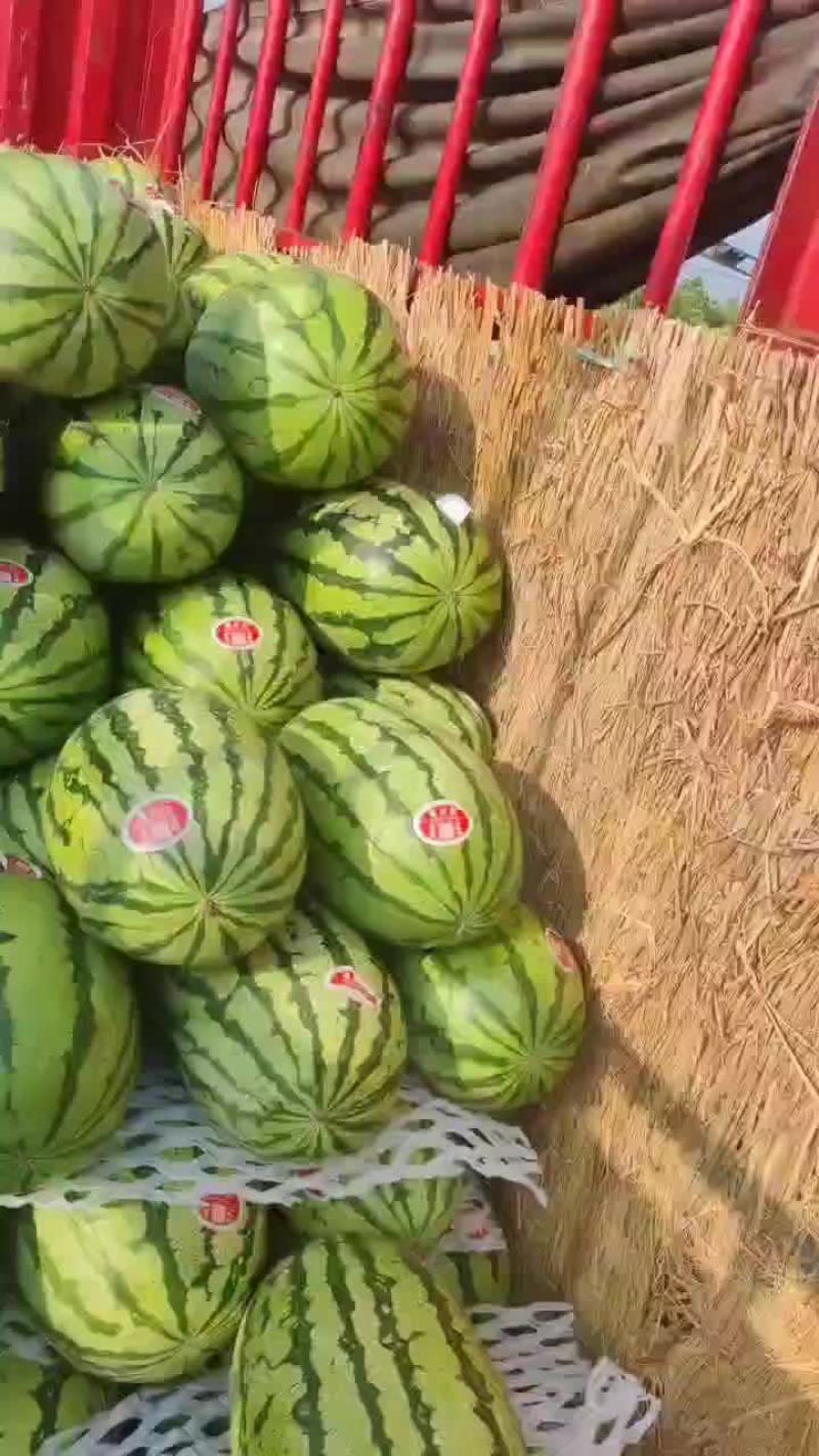 陕西精品无籽金花六，大量供应，对接各大商超，超市，批发市