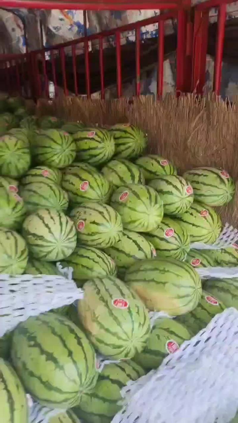 陕西精品无籽金花六，大量供应，对接各大商超，超市，批发市