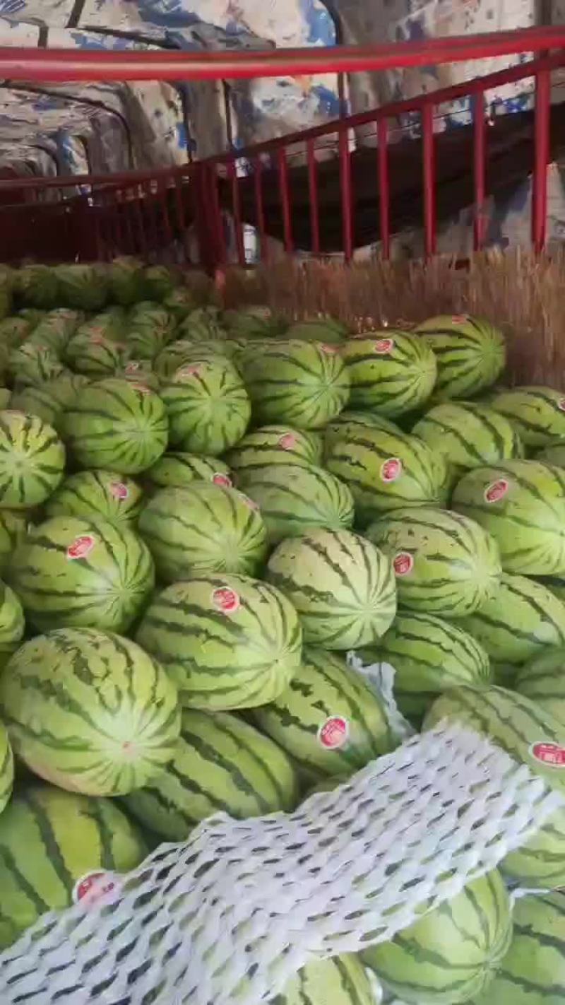 陕西精品无籽金花六，大量供应，对接各大商超，超市，批发市