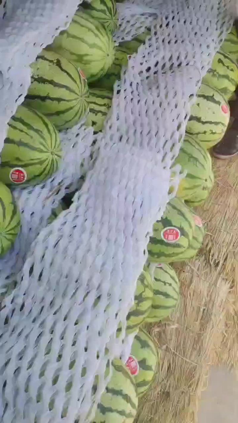 陕西精品无籽金花六，大量供应，对接各大商超，超市，批发市