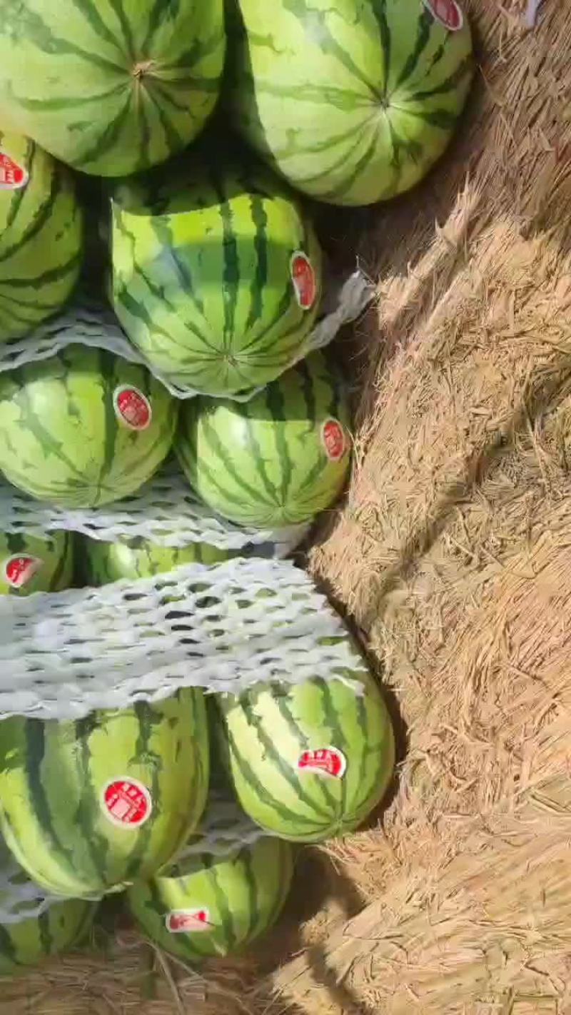 陕西精品无籽金花六，大量供应，对接各大商超，超市，批发市