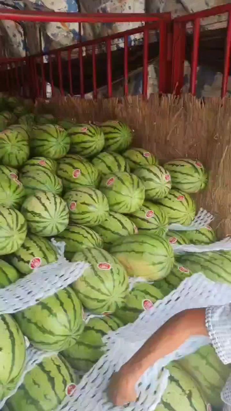 陕西精品无籽金花六，大量供应，对接各大商超，超市，批发市