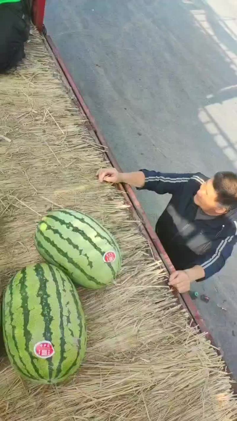 陕西精品无籽金花六，大量供应，对接各大商超，超市，批发市