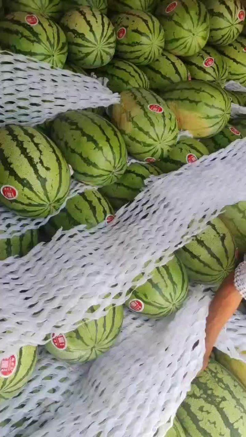 陕西精品无籽金花六，大量供应，对接各大商超，超市，批发市