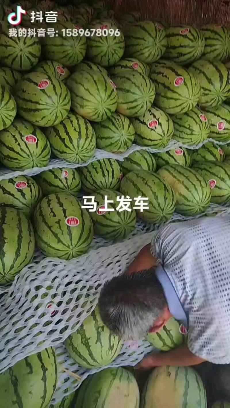 陕西精品无籽金花六，大量供应，对接各大商超，超市，批发市