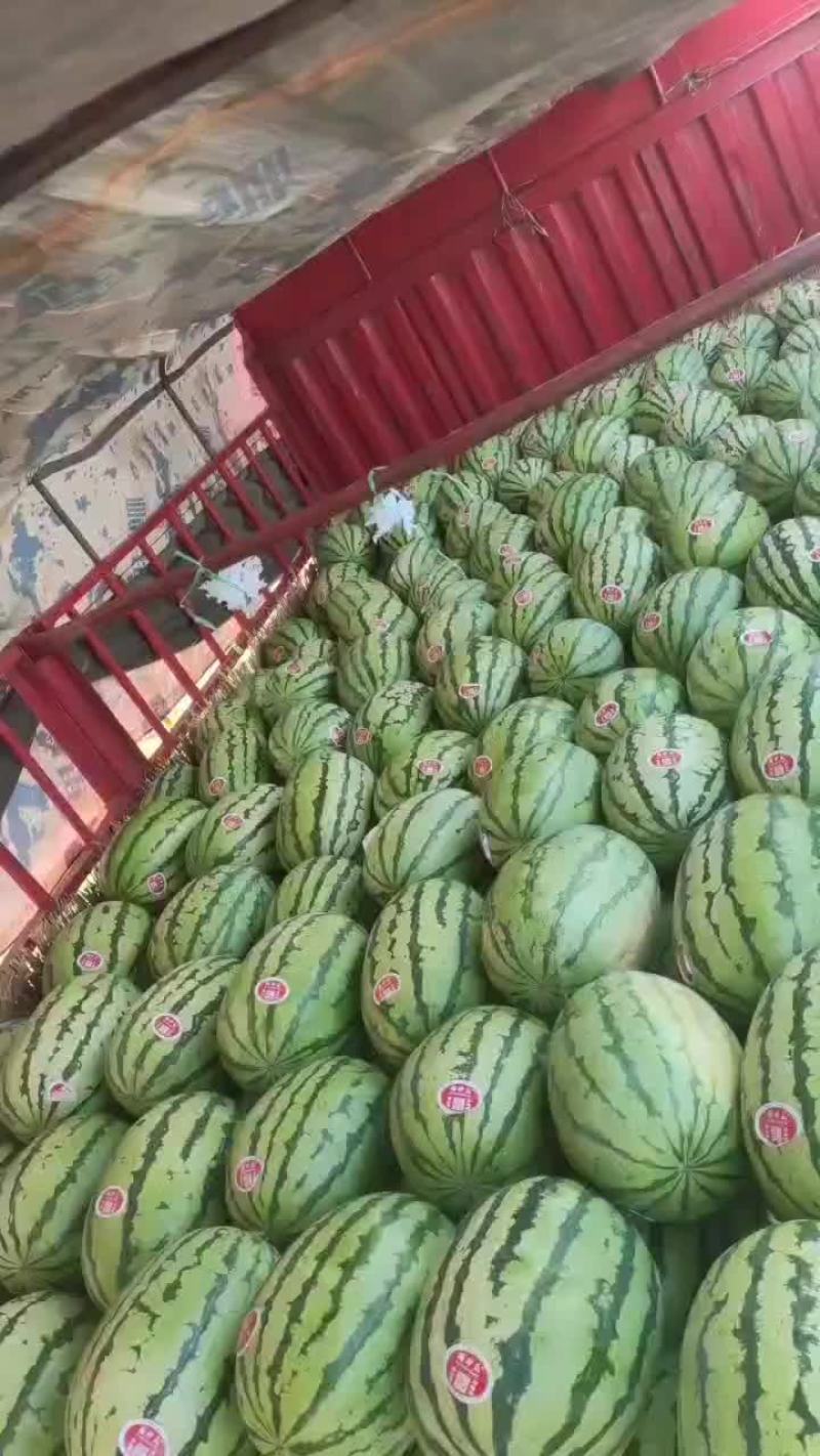 陕西精品无籽金花六，大量供应，对接各大商超，超市，批发市