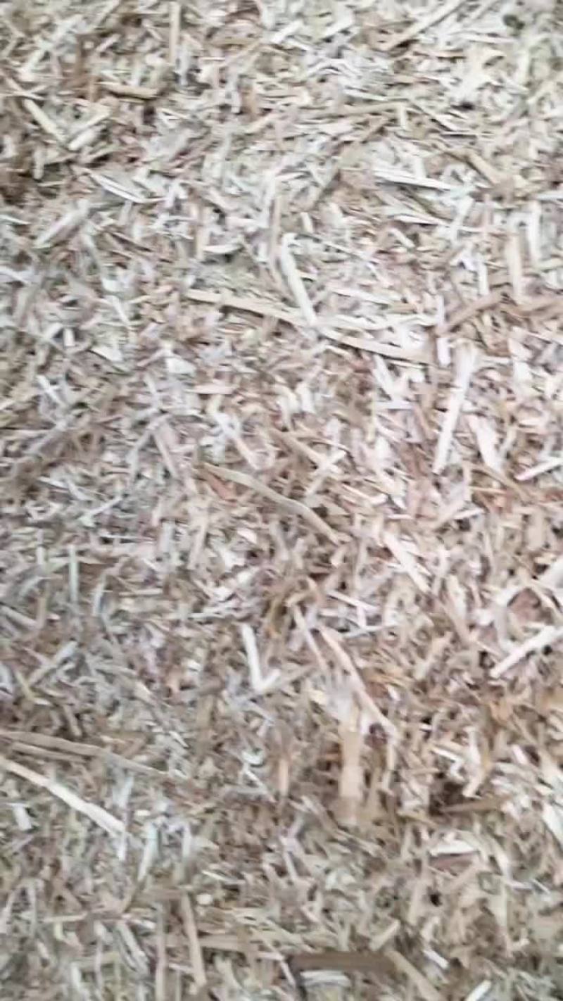 麦草
