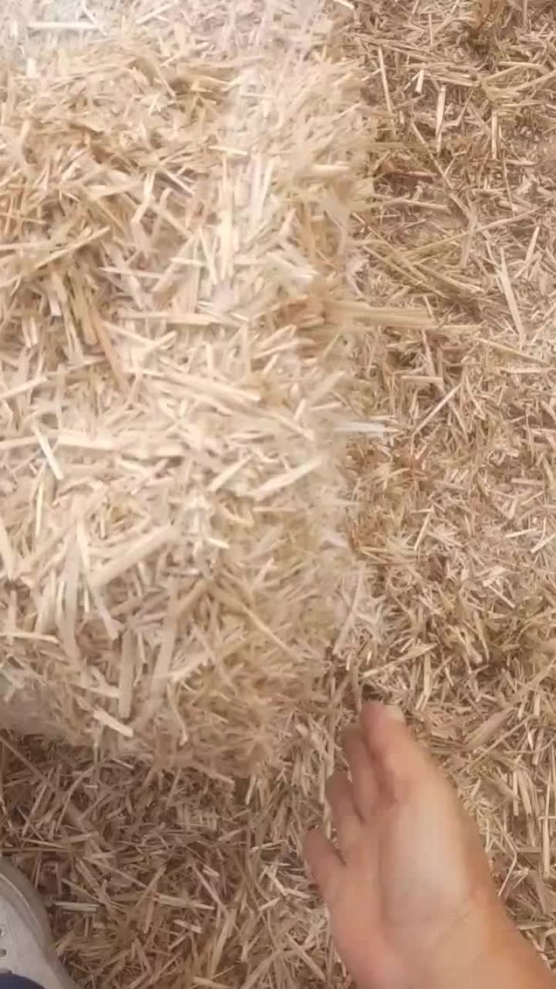 麦草