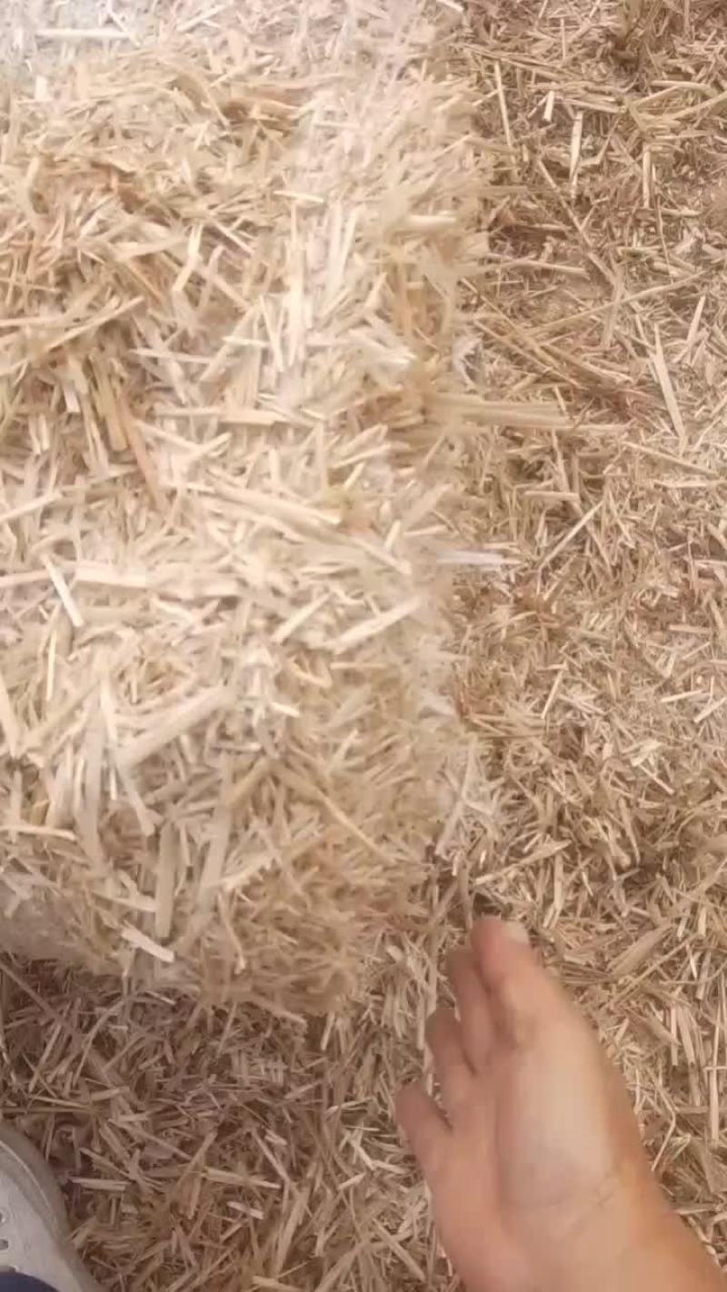 麦草
