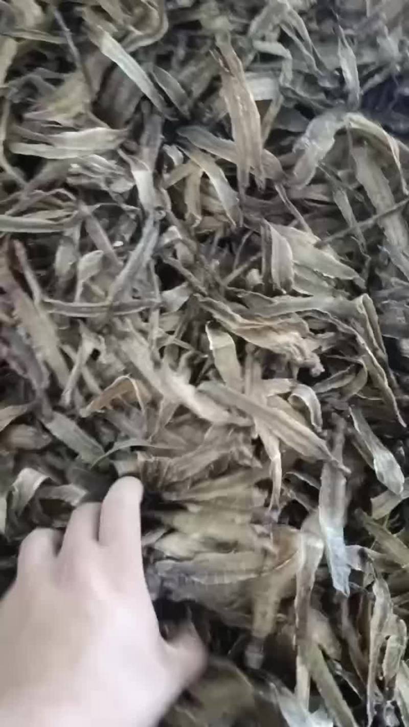 地龙干网晒沪地龙尖刀机加工版型漂亮源头产地直发