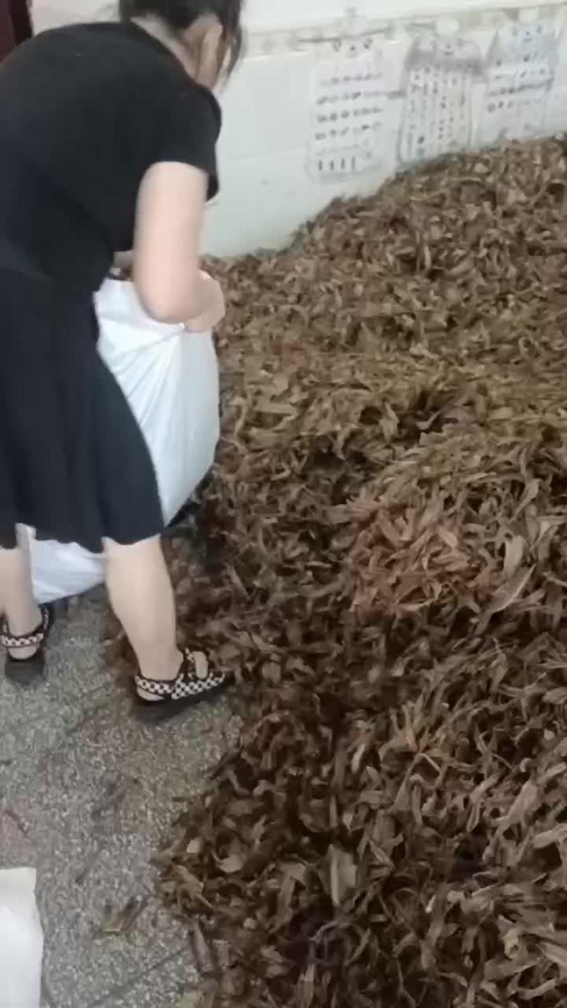 地龙干网晒沪地龙尖刀机加工版型漂亮源头产地直发
