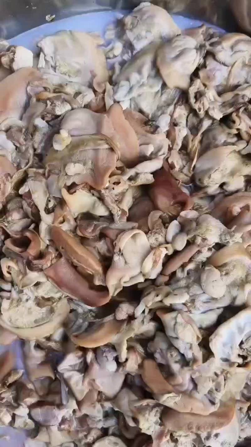 河畔