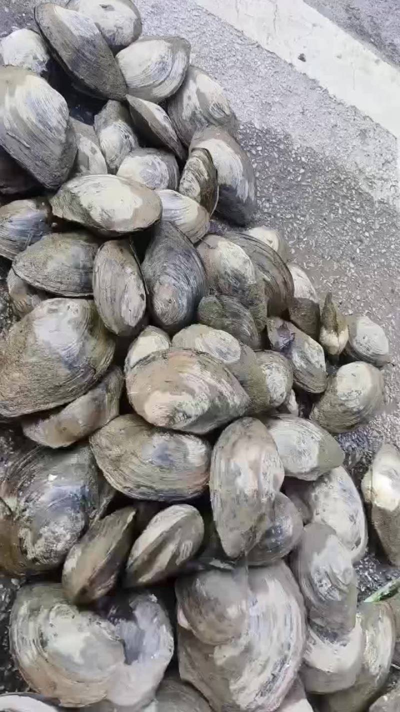 河畔