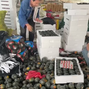 昌乐贝贝南瓜原产地直发，粉糯香甜，地头直发，原产地