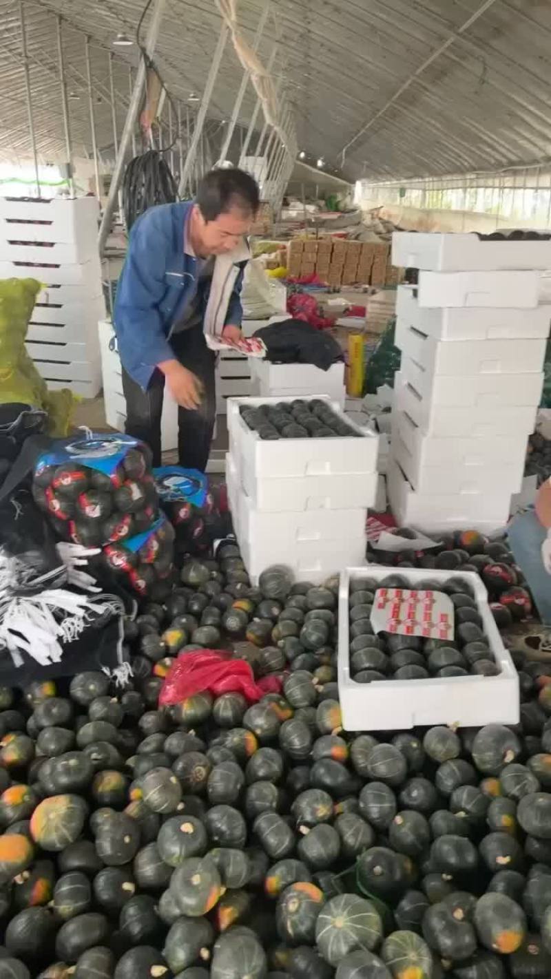 昌乐贝贝南瓜原产地直发，粉糯香甜，地头直发，原产地