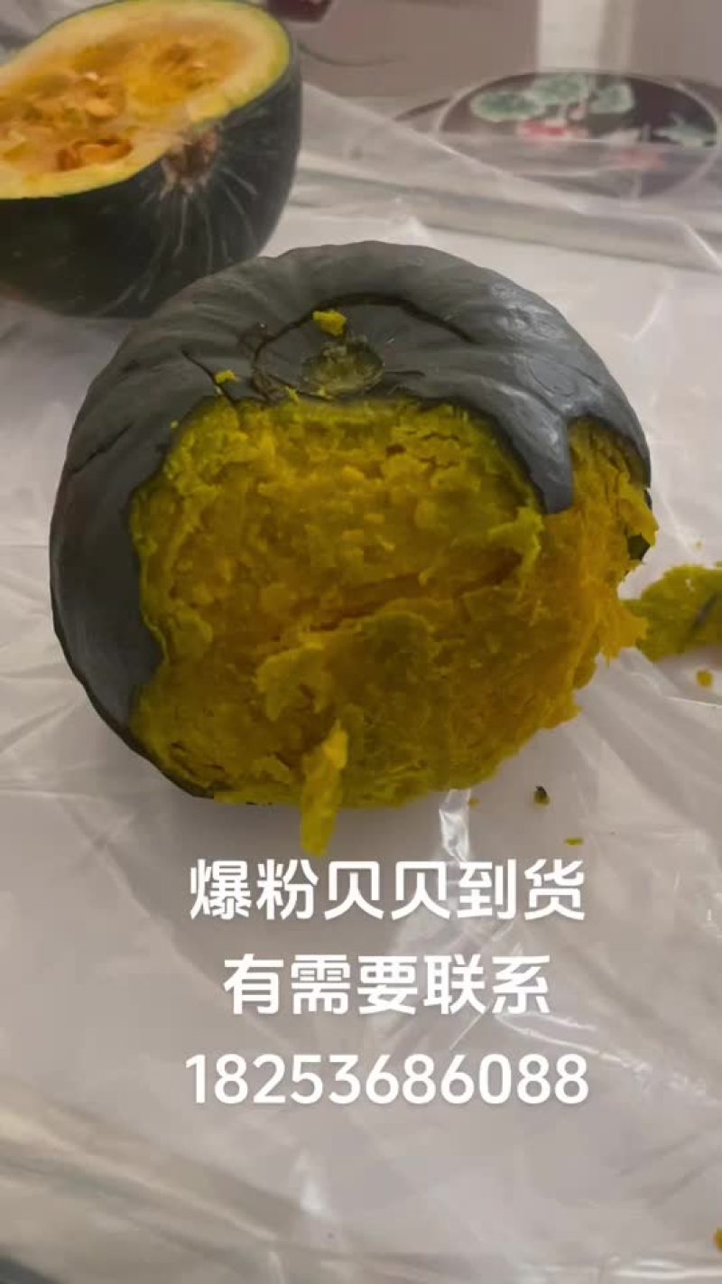 昌乐贝贝南瓜原产地直发，粉糯香甜，地头直发，原产地