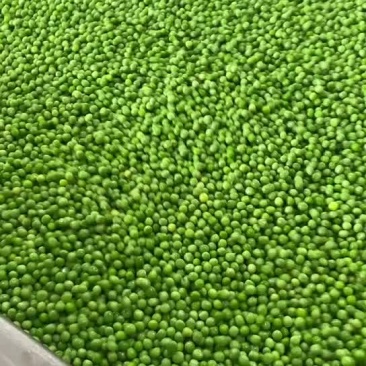 青豆青豌豆鲜货