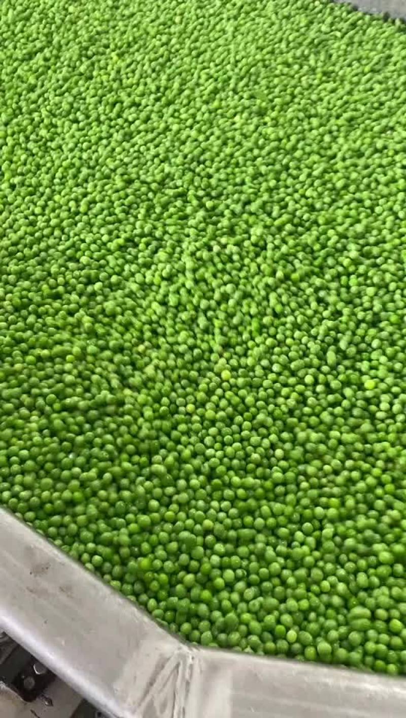 青豆青豌豆鲜货
