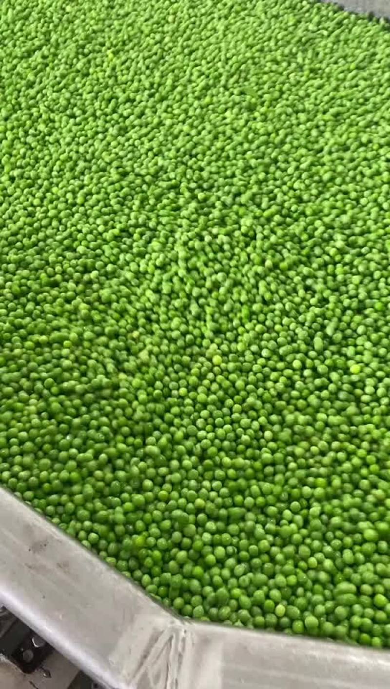 青豆青豌豆鲜货
