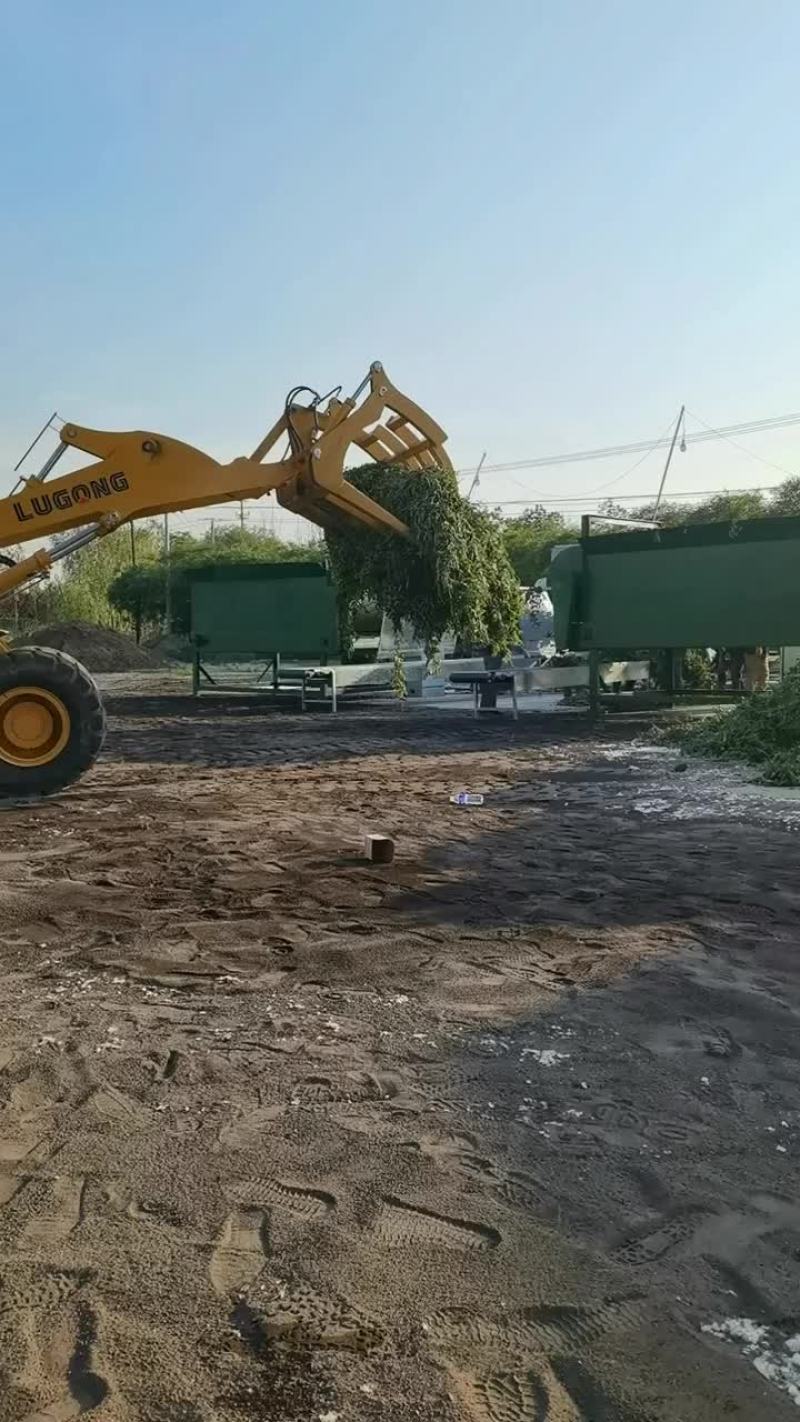 青豆青豌豆鲜货