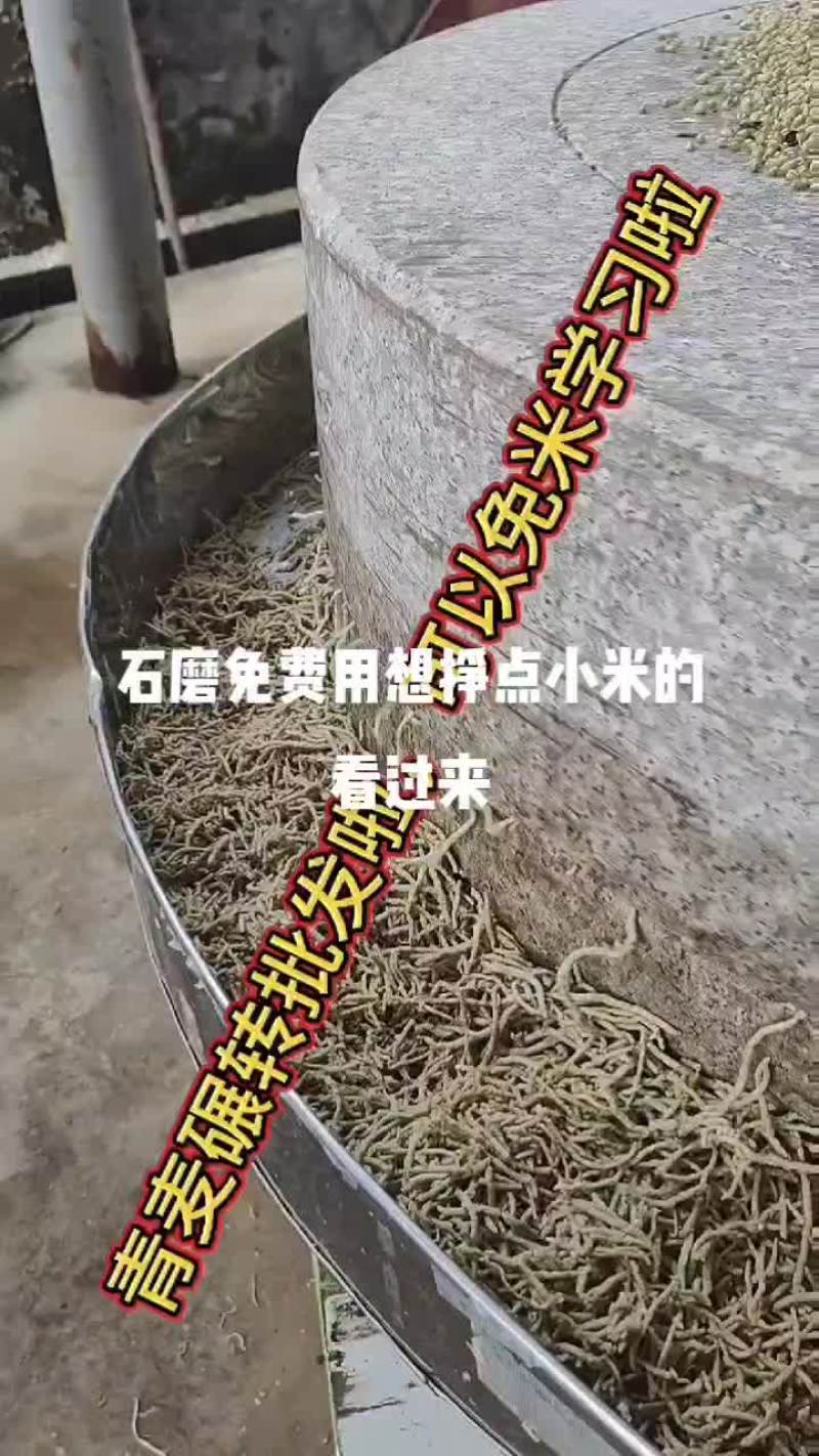 青麦仁