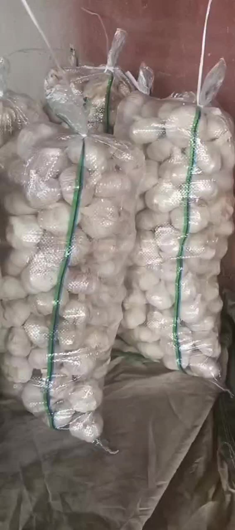 精品大蒜