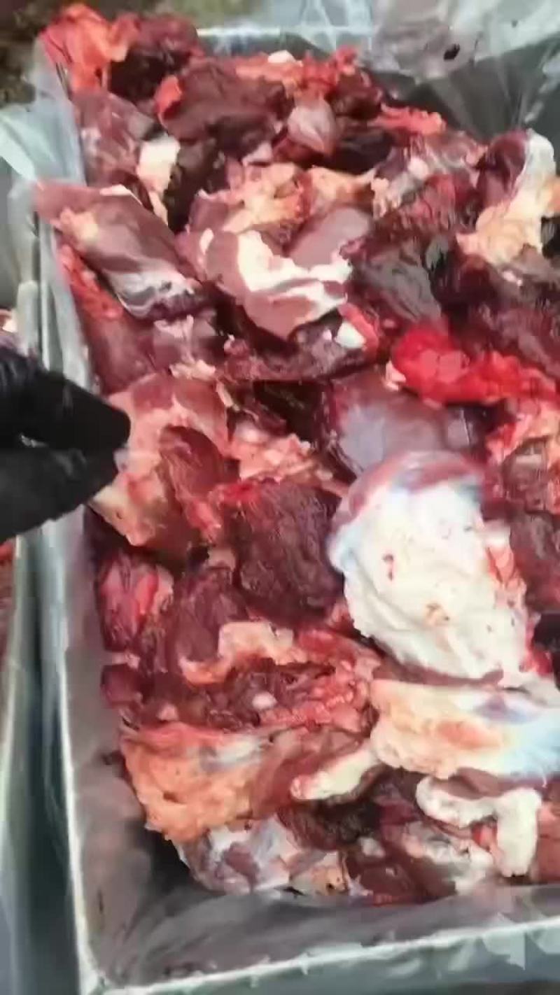 国产鲜牛碎肉，饭店烧烤店酒店家庭使用包饺子价格划算质量好