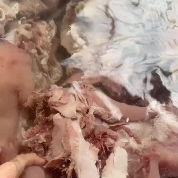 全熟牛头肉