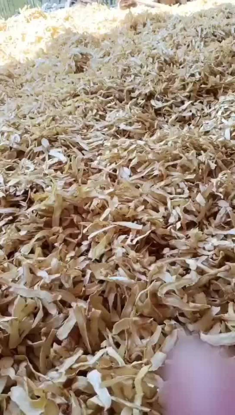 【玉竹】玉竹干片大量有货量大从优欢迎咨询