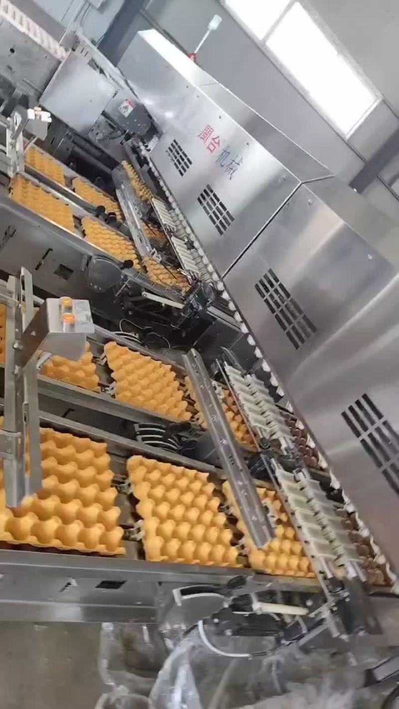 鲜鸡蛋