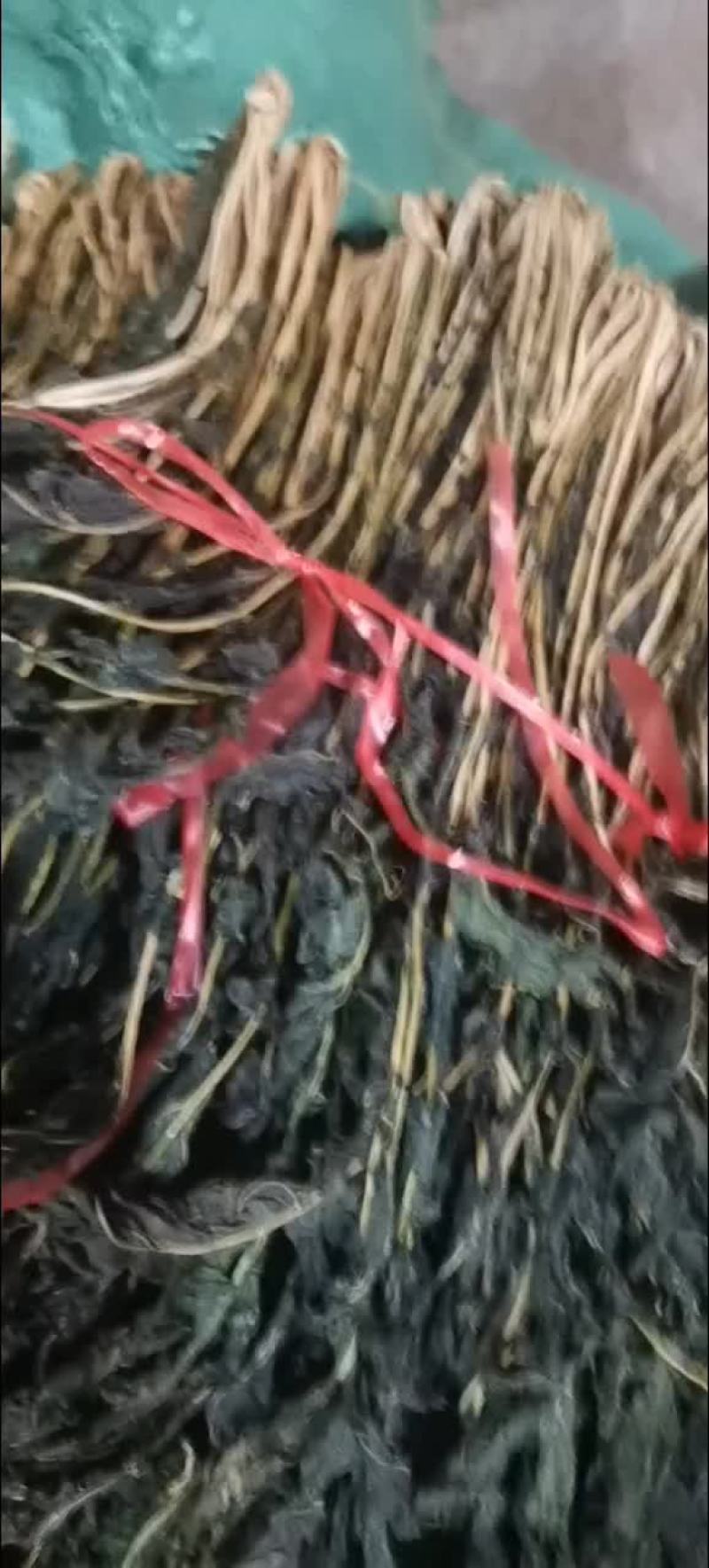 外婆菜萝卜叶子干萝卜叶子