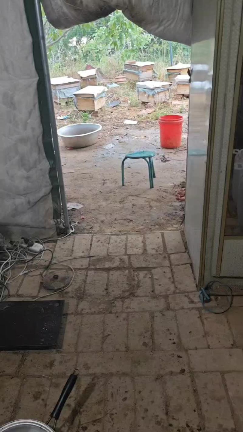 土蜂蜜