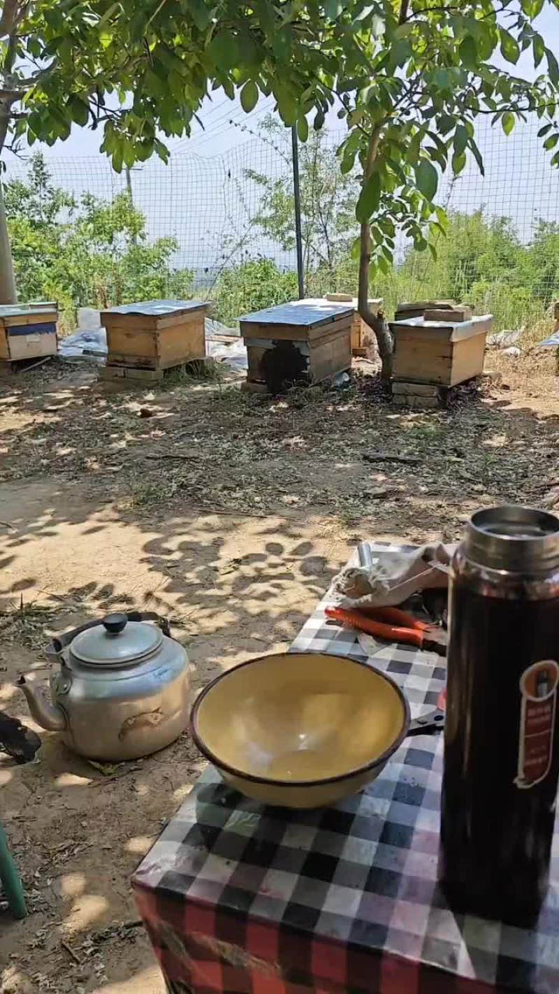 土蜂蜜