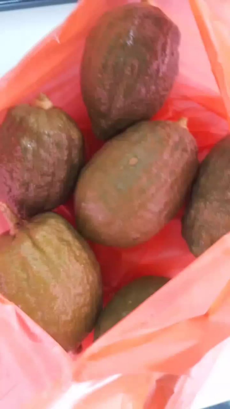 广东香水柠檬
