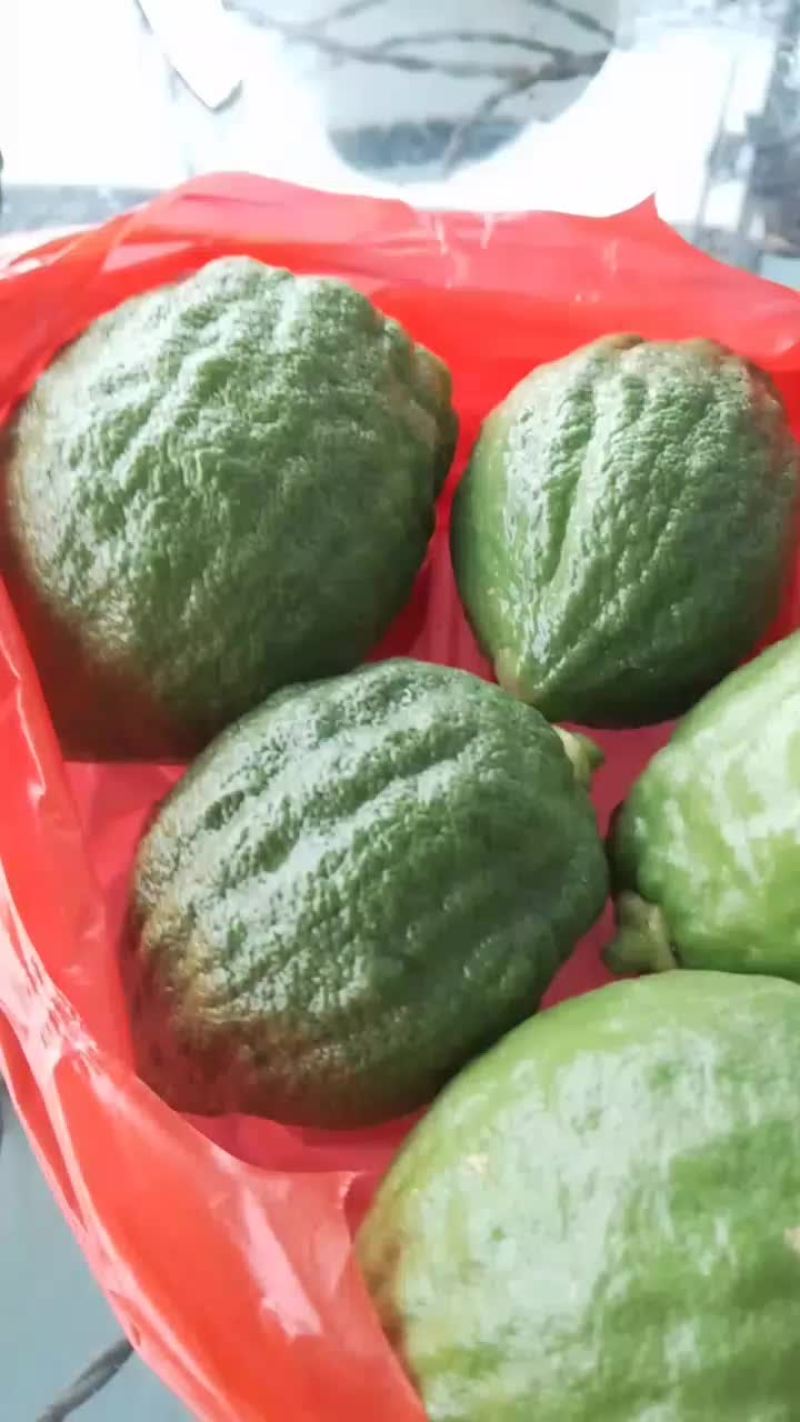 广东香水柠檬