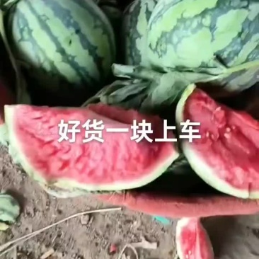 无籽麒麟西瓜