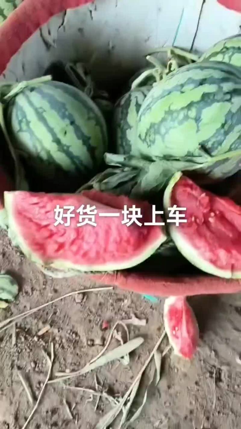 无籽麒麟西瓜