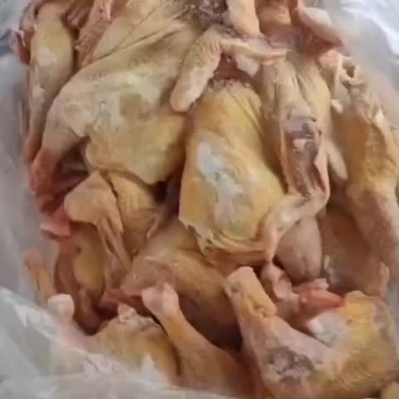 909半片鸡
